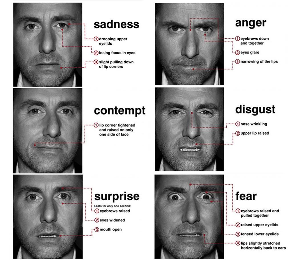 from-emotion-to-animation-visage-technologies