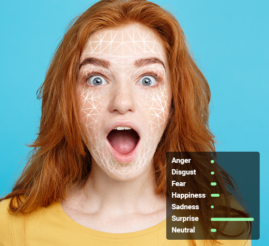 Emotion detection software demo